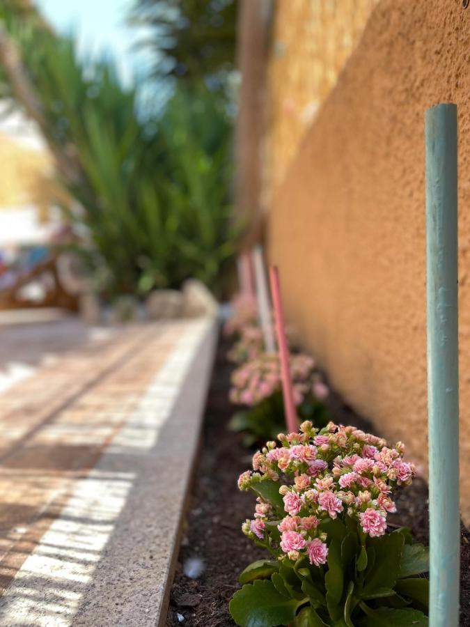 Yucca Διαμέρισμα Όλμπια Εξωτερικό φωτογραφία