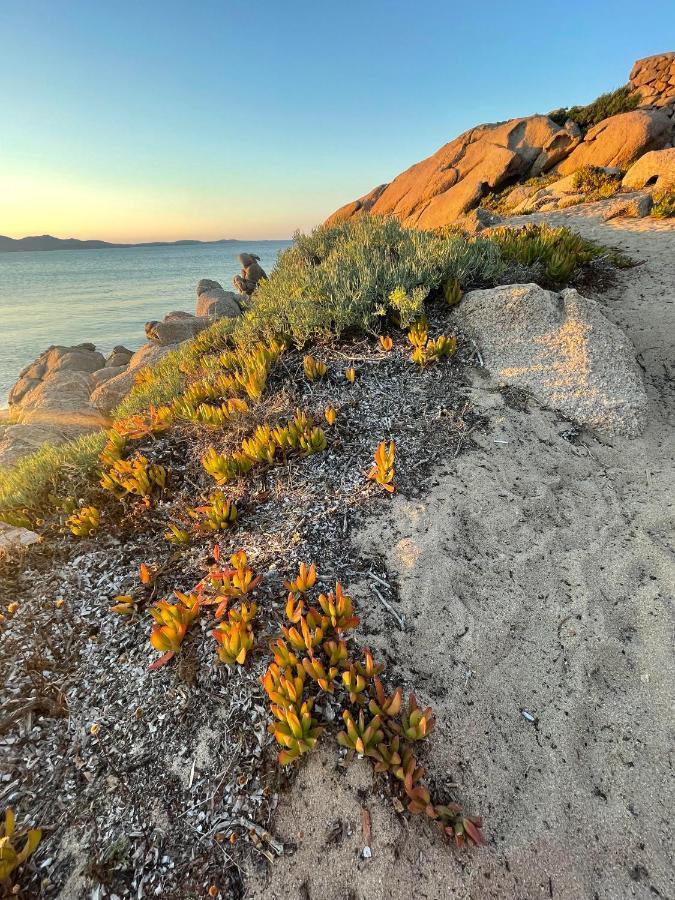 Yucca Διαμέρισμα Όλμπια Εξωτερικό φωτογραφία