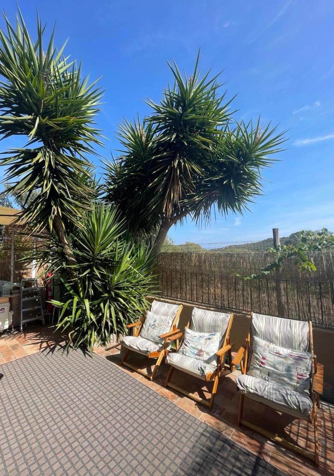 Yucca Διαμέρισμα Όλμπια Εξωτερικό φωτογραφία